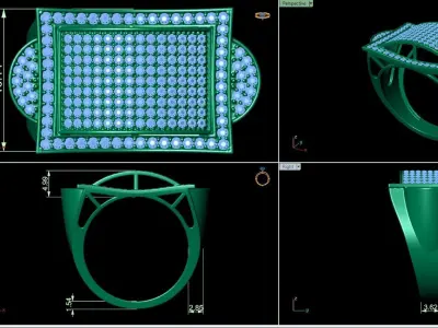 Bid fancy mans ring 3D print model