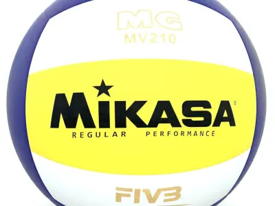 Volleyball Ball 3D model Low-poly 3D model