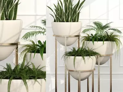 plant 39 Room plants 14 3D model