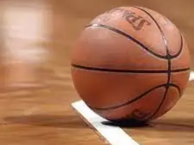 Basket Ball 3D model