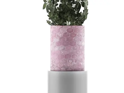 Plants Collection 110 3D model