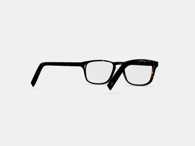 Bensen Eyeglasses in Whiskey Tortoise Low-poly 3D model