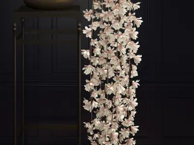 Bonsai Magnolia 3D model