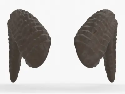 Large Curved Horns - Lauren 3D print model
