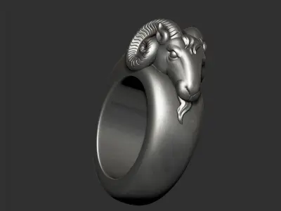 ram ring 3D print model