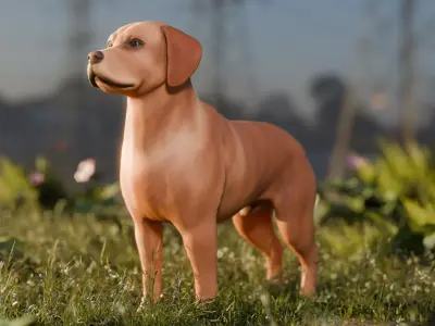 Dog Labrador Retriever Animal Low-poly 3D model