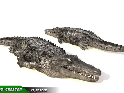 LowPoly Crocodile Rigged 3d model Low-poly 3D model