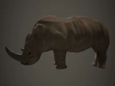 Animal rhinoceros Low-poly 3D model
