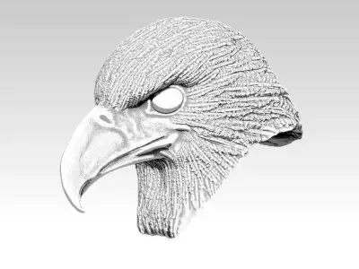 Eagle hawk  falcon  bird head bust 3D print model