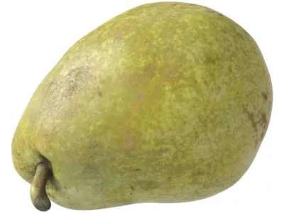 Kieffer Pears 3D Model Collection