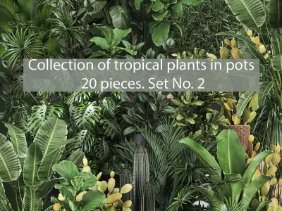 Collection of potted plants for the interior of 20 pieces set 2 3D model