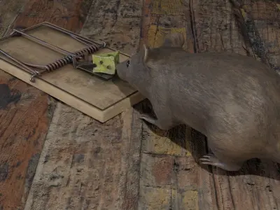 Mouse rat Plus Mousetrap Low-poly 3D model