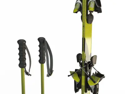 Skis and Sticks 3D model