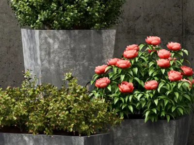 Restoration Hardware pedestal sheet metal planters 3D model