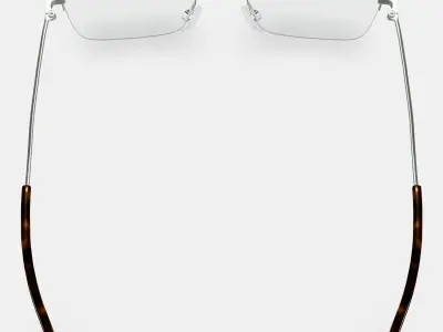 Armando Eyeglasses in Polished Silver 3D model
