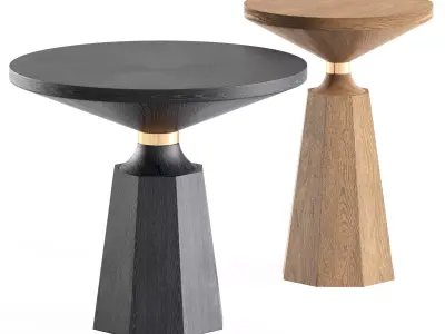THE NICOLE II OCCASIONAL TABLE 3D model