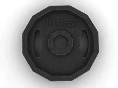Fitness disc 3D model