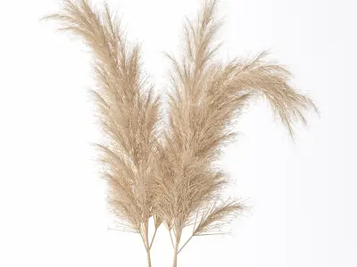 Plants Bouquet 06 3D model