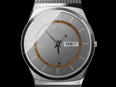 Watch Skagen SKW6007 3D model