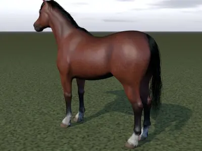 Horse rigging 3D model