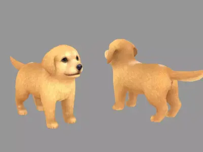 Cartoon pet puppy - Golden - baby dog Low-poly 3D model