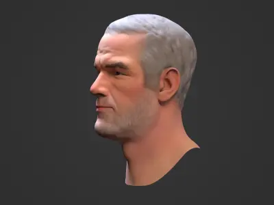 Favre Brett Low-poly 3D model