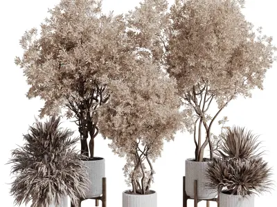 Indoor plant set 423 tree autumn with dried plant 3D model