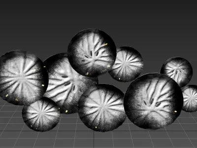 wall decor rash2 3D model