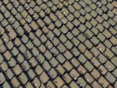 Leaf Littered Clay Pan Roof  Texture