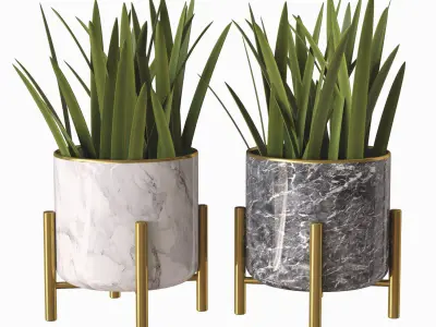 plant pot 01 3D model