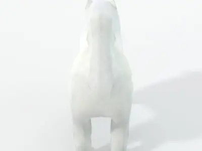 Samoyed White Low-poly 3D model