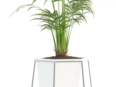 Plants collection 88 3D model