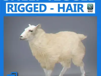Rigged Sheep 3D model