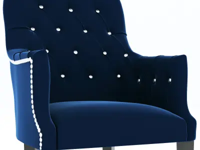 NASU 303 abby 3D model