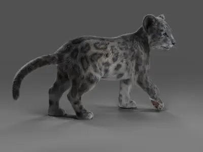 Fur Baby Snow Leopard Rigged in Blender  Low-poly 3D model