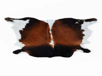 Cowhide Brown And White Rug 3D model