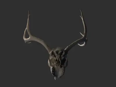 Deer skull Low-poly 3D model