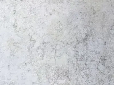 plaster 492 Texture