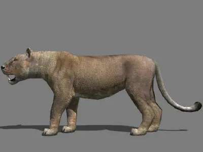 AWESOME Low-poly lioness Low-poly 3D model