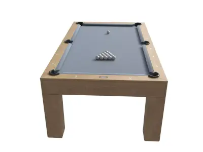 PAULA PARSONS POOL TABLE 3D model