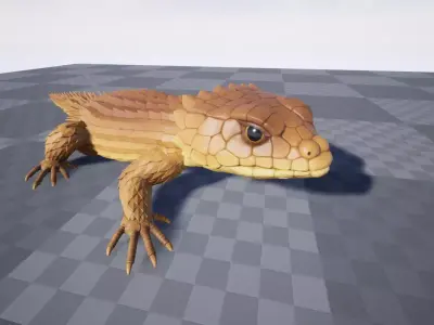 Armadillo lizard  Handpainted  GAME READY Low-poly 3D model