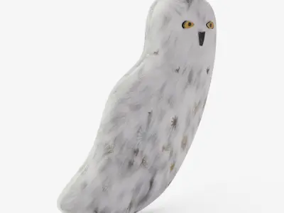 Harry Potter Hedwig Shaped Pillow 3D model