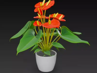 Anthurium Plant Pot 3D model