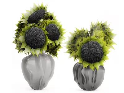 Beautiful Bouquet Of Green And Black Sunflowers vase decor 3D model