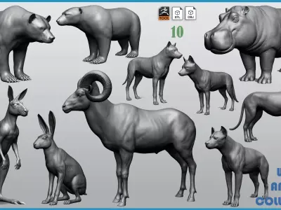 Wild animal collection  10 animals  VOL 2 3D model