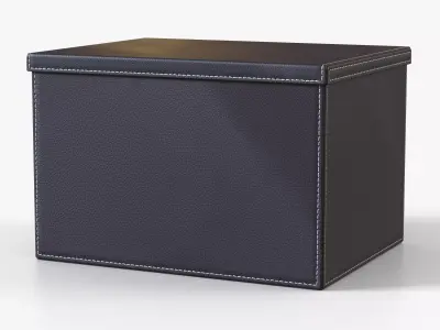 Box Storage Leather Big Low-poly 3D model