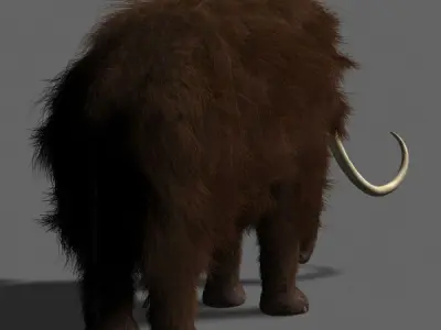 Hollywood Mammoth - 3d model 3D model