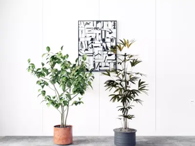 Modern Plant Potting 3D model