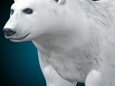 Polar Bear 3D model