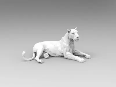 lioness 3D model